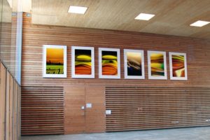 shift + transmutation + macro landscape, laserchrome grossfoto auf aluminium dibond gerahmt, grundschule lehrer-wirth-straße, münchen, 2005