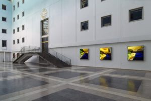 macro landscape, 6 edelstahl-leuchtkästen laserchrome grossdiapositiv, e-on regensburg, 2004