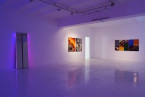  twins + cliffs + chromatic plants, studio d’arte contemporanea pino casagrande, rom, 2011