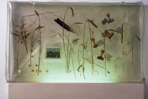 landscape in plastic, harzblock, galerie hofmeisterhaus, 2000