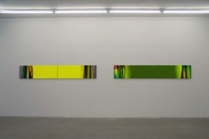 chromatic plants (yellow | green), aluminium-dibond mit diasec face, galerie bernd lausberg, düsseldorf, 2006