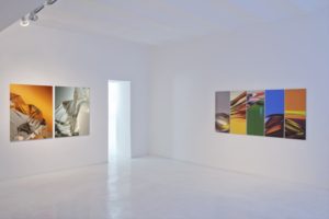 cliffs + chromatic plants, auflage 3+1 ap, studio d’arte contemporanea pino casagrande, rom, 2011  