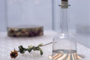 stillleben (detailansicht), 6 glaskästen metall harz plexiglas fundstücke holz, galerie benden & klimczak, köln, 1999