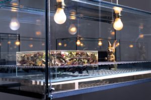 stillleben (detailansicht), glaskasten metall harz plexiglas fundstücke holz, galerie benden & klimczak, köln, 1999