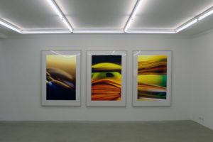 transmutation + macro landscape, laserchrome grossfoto auf aluminium-dibond gerahmt, galerie bernd lausberg, düsseldorf, 2006